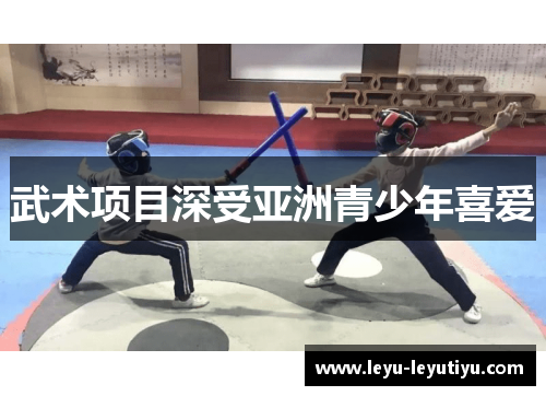 武术项目深受亚洲青少年喜爱
