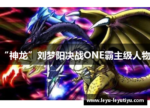 “神龙”刘梦阳决战ONE霸主级人物！